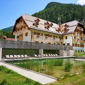 Hotel Plesnik Logarska Dolina